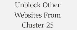 Unblock Website From Cluster25 Cover Computer and Network Security Plans