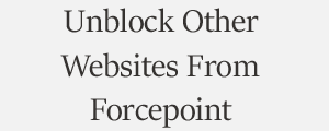 Unblock Website From Forcepoint Computer Security Software and Data Protection Plans