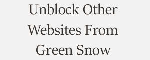 Unblock Website From Green Snow Computer Security Plans